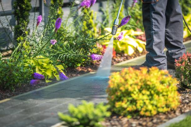 Best Spring Cleaning  in Savannah, MO